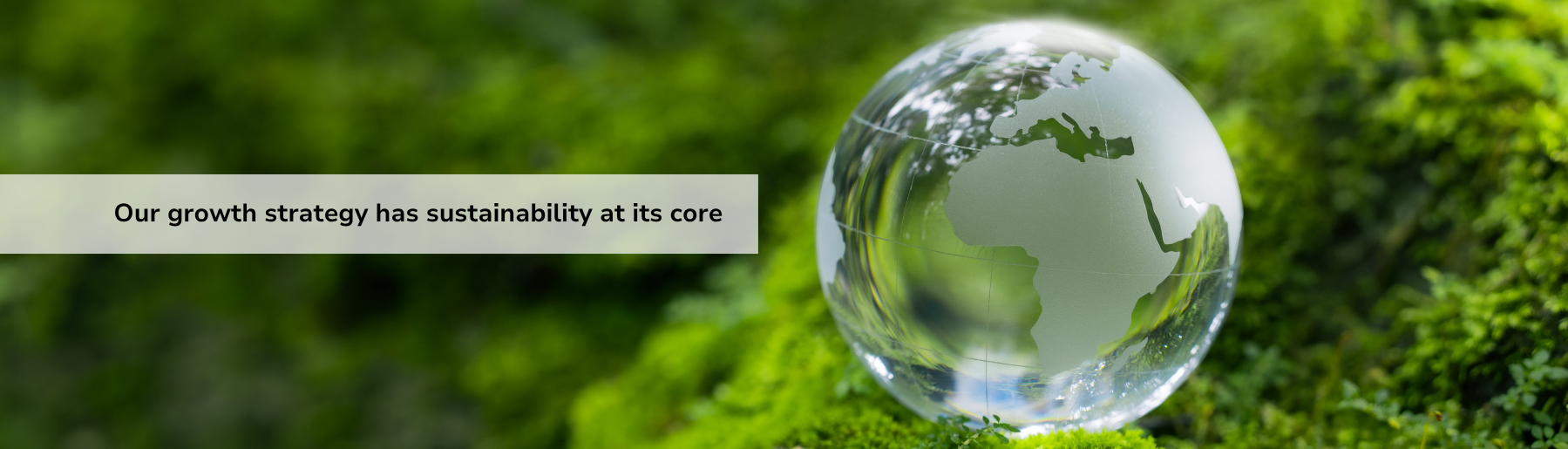 Sustainability
